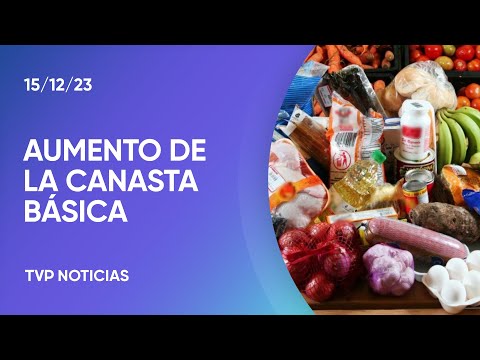 Aumento de la Canasta BÃ¡sica: una familia necesitÃ³ 0.456 para no ser pobre