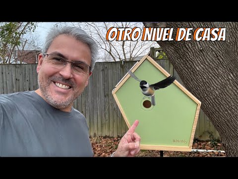 Birddy Smart Bird House Otro Nivel de casa inteligente Birddy Smart Bird House Otro Nivel de casa inteligente