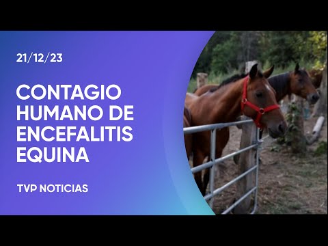 Confirmaron el primer contagio humano de encefalitis equina en mÃ¡s de 20 aÃ±os