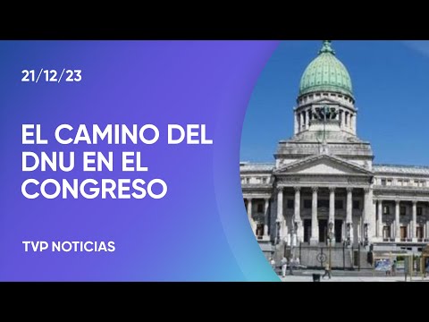 CuÃ¡l es el camino que tendrÃ¡ el DNU de Milei en el Congreso