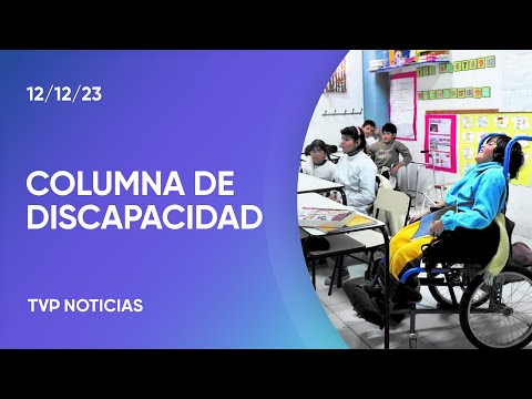De qué manera se abordará la temática de discapacidad
