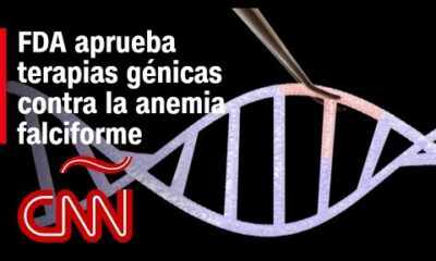 ¿De qué se tratan las terapias genéticas contra la anemia falciforme aprobados por la FDA?