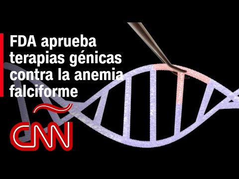 ¿De qué se tratan las terapias genéticas contra la anemia falciforme aprobados por la FDA?