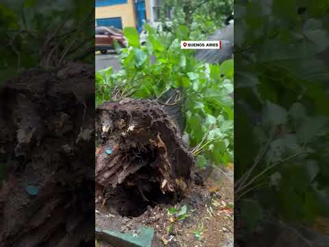 Estas son las secuelas de la feroz tormenta que arrasó Argentina