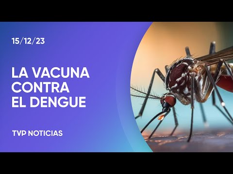 La vacuna del dengue ya está en el paÃs, pero se aplica de forma privada La vacuna del dengue ya está en el paÃs, pero se aplica de forma privada