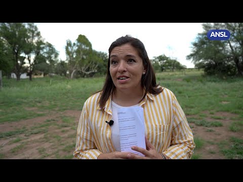 Lorena Domínguez, directora de Personas Jurídicas Lorena Domínguez, directora de Personas Jurídicas