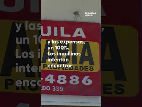 Los alquileres subieron un 300% interanual Los alquileres subieron un 300% interanual