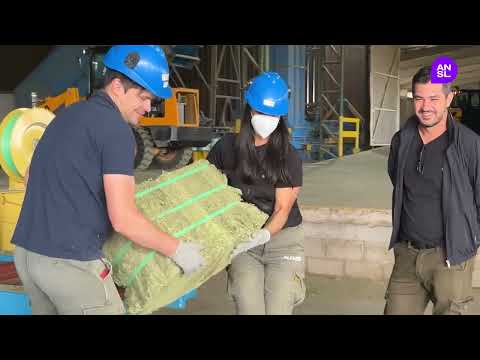 Plan Plurianual de Alfalfa: San Luis tiene en marcha la cuarta planta más importante del país