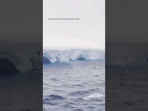 Así se ve de cerca el iceberg más grande del mundo Así se ve de cerca el iceberg más grande del mundo