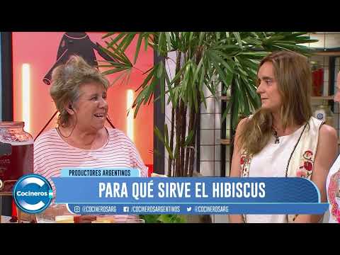 CÓMO SE HACE EL HIBISCUS – PULPA DE FRUTAS MARACUYA CÓMO SE HACE EL HIBISCUS – PULPA DE FRUTAS MARACUYA