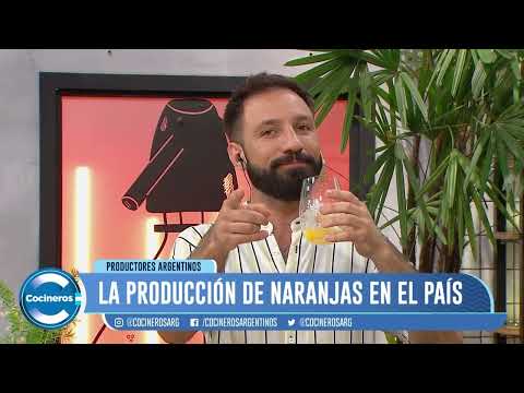 ¿CÓMO SE PRODUCEN LAS NARANJAS? ¿CÓMO SE PRODUCEN LAS NARANJAS?