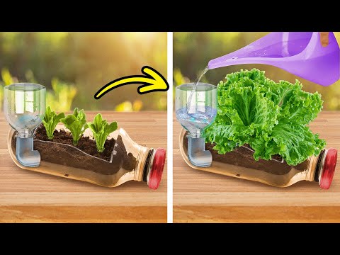 Consejos Inteligentes y Manualidades para un Jardín Floreciente y un Patio Trasero Acogedor 🌻🏡 Consejos Inteligentes y Manualidades para un Jardín Floreciente y un Patio Trasero Acogedor 🌻🏡