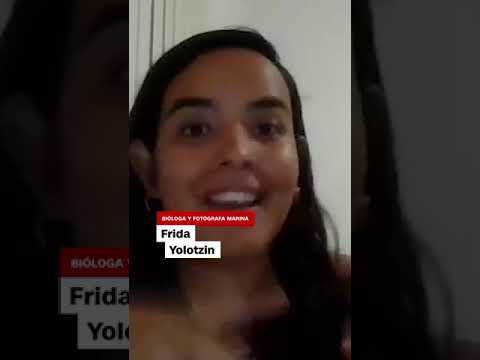 🐟Pez trípode, el escurridizo y extraño ser de las profundidades #animales #naturaleza