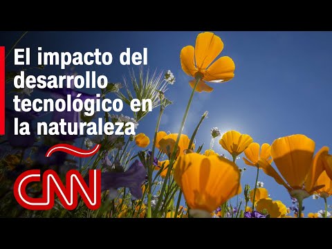 “Hay que aprender a conocer la naturaleza”, dice experta de la universidad de Yale