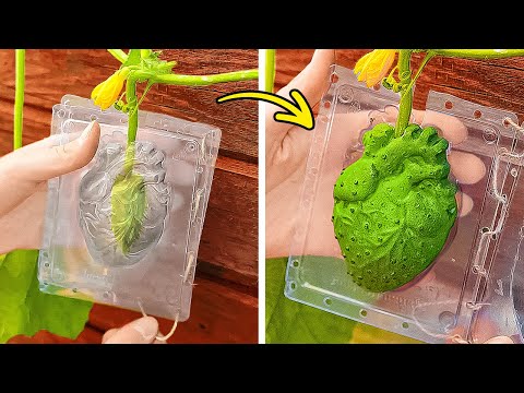 Increíbles Ideas de Jardinería 🌸 Guía Definitiva para Cultivar un Jardín Próspero🌿