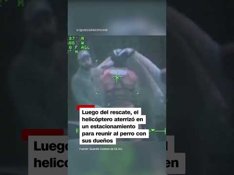 La Guardia Costera de EE.UU. rescata a perro que cayó por un acantilado La Guardia Costera de EE.UU. rescata a perro que cayó por un acantilado