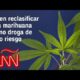 La marihuana podría ser reclasificada como droga de bajo riesgo en EE.UU., ¿qué efectos tendría