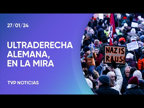 La ultraderecha en Alemania, entre el ascenso y el ocaso La ultraderecha en Alemania, entre el ascenso y el ocaso