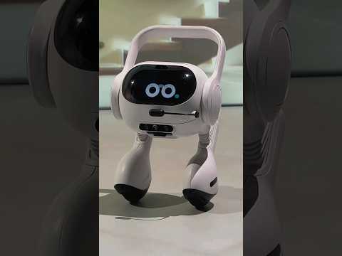 LG QUIERE JUBILAR A TU PERRO!!!