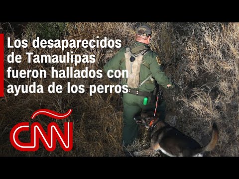 Los perros ayudaron a encontrar a los migrantes desaparecidos en Tamaulipas, dicen autoridades