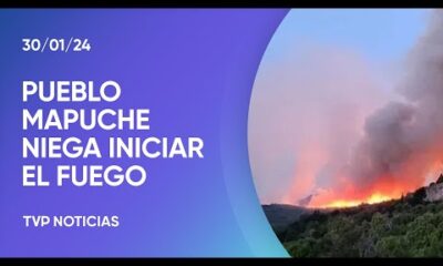 MÃ¡s de 2.000 hectÃ¡reas quemadas en Los Alerces y repudio del pueblo Mapuche