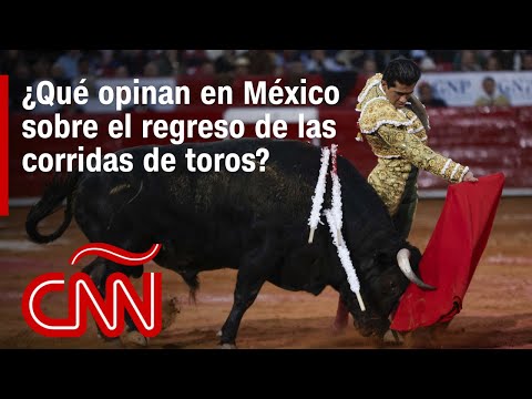 Resumen: Ciudad de México vive el regreso de las corridas de toros entre festejos y protestas