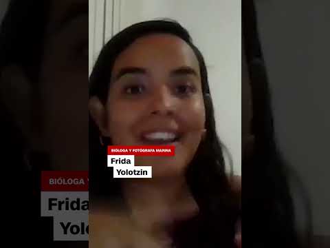 Video capta al pez trípode, un raro animal de las profundidades marinas que rara vez se deja ver