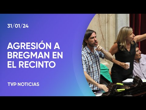 Agredieron a Myriam Bregman en el inicio del debate en Diputados Agredieron a Myriam Bregman en el inicio del debate en Diputados