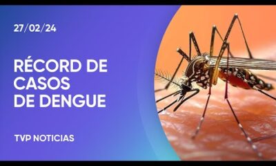 Alerta dengue