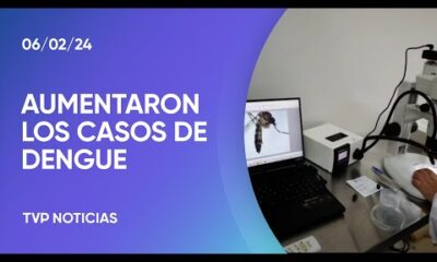 Alerta por el crecimiento de casos de dengue, en su mayorÃ­a autÃ³ctono