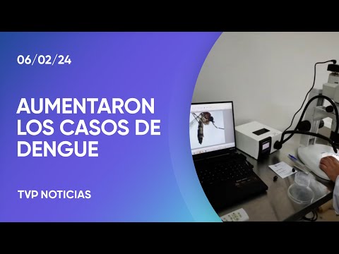 Alerta por el crecimiento de casos de dengue, en su mayorÃa autóctono Alerta por el crecimiento de casos de dengue, en su mayorÃa autóctono