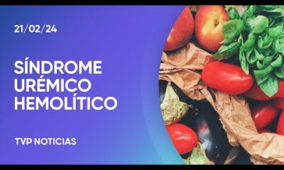 Â¿QuÃ© es el SÃ­ndrome UrÃ©mico HemolÃ­tico?