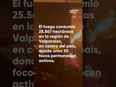 Ascienden a 64 los muertos por los incendios forestales en Chile Ascienden a 64 los muertos por los incendios forestales en Chile