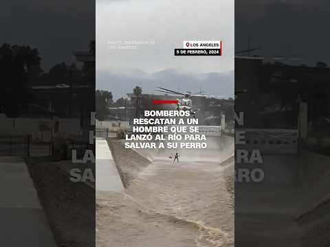 Bomberos rescatan a un hombre que se lanzó al río a salvar a su perro Bomberos rescatan a un hombre que se lanzó al río a salvar a su perro