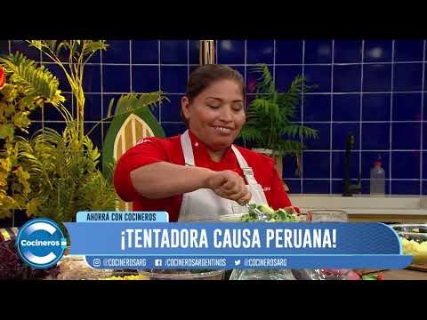 CÓMO HACER UNA CAUSA PERUANA
