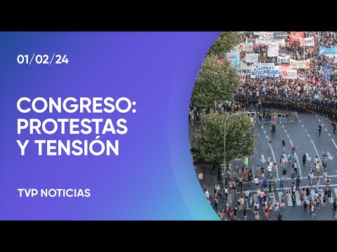 Congreso: detenidos y heridos por las manifestaciones Congreso: detenidos y heridos por las manifestaciones
