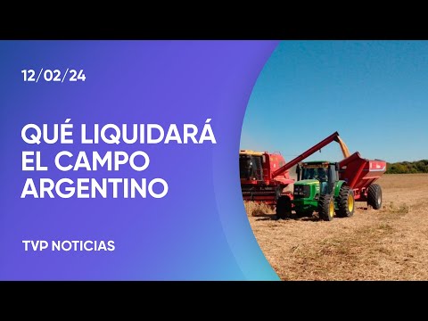 Cosecha 2024: ¿Qué pasará con las exportaciones? Cosecha 2024: ¿Qué pasará con las exportaciones?