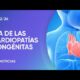 DÃ­a Mundial de las CardiopatÃ­as CongÃ©nitas: el valor de un diagnÃ³stico percoz