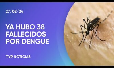 Dengue: las proyecciones hablan de 250.000 casos