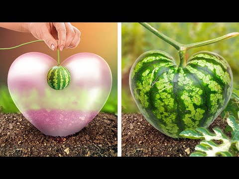 Descubre Nuevos Trucos de Jardinería para la Primavera 🥕🌱🌷 Ideas para Flores y Verduras Abundantes