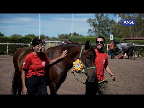 Equinoterapia Equinoterapia