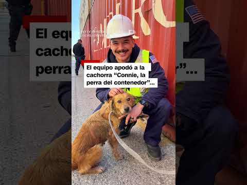 Equipo de la Guardia Costera de EE.UU. encuentra una sorpresa en un contenedor de transporte Equipo de la Guardia Costera de EE.UU. encuentra una sorpresa en un contenedor de transporte