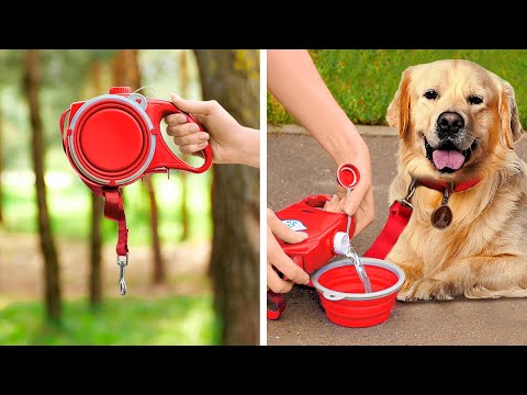 Esenciales de Cuidado de Mascotas para la Primavera 🐾🌞🌸 ¡Trucos para Mimar a tus Bebés Peludos! Esenciales de Cuidado de Mascotas para la Primavera 🐾🌞🌸 ¡Trucos para Mimar a tus Bebés Peludos!