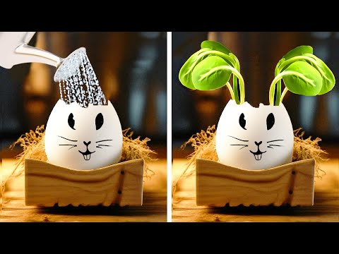 Fáciles Trucos de Jardinería para Pascua🌷🥚 🌱 ¡Embellece tu Jardín en un Instante! Fáciles Trucos de Jardinería para Pascua🌷🥚 🌱 ¡Embellece tu Jardín en un Instante!