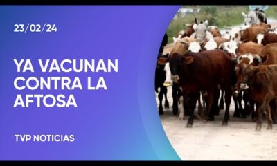 Inician la primera campaÃ±a de vacunaciÃ³n anual contra la fiebre aftosa