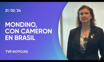 La canciller Mondino se reuniÃ³ con Cameron en Brasil