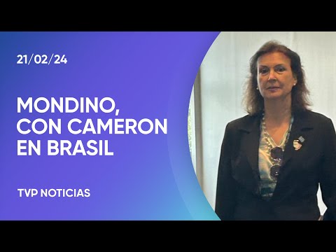 La canciller Mondino se reuniÃ³ con Cameron en Brasil