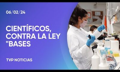 La Red de CientÃ­ficos recomienda rechazar puntos clave de la Ley Bases