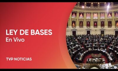 Ley de Bases: segunda jornada de debate en Diputados