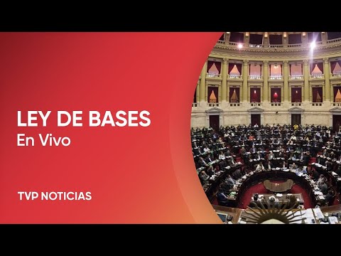 Ley de Bases: tercera jornada de debate en Diputados